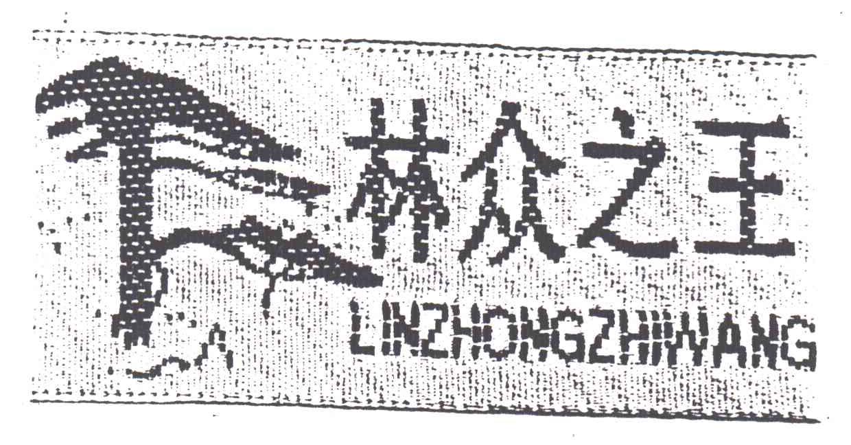 林众之王及图形