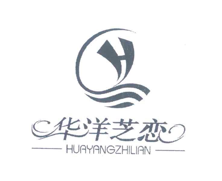 华洋芝恋 H