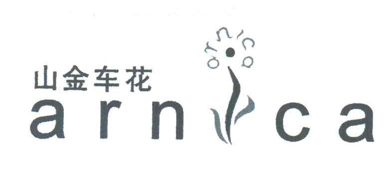 山金车花;ARNCA