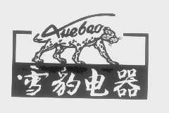 雪豹
