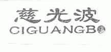 慈光波