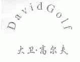 大卫高尔夫;DAVID GOLF