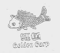 鲤鱼   GOIDEN CARP