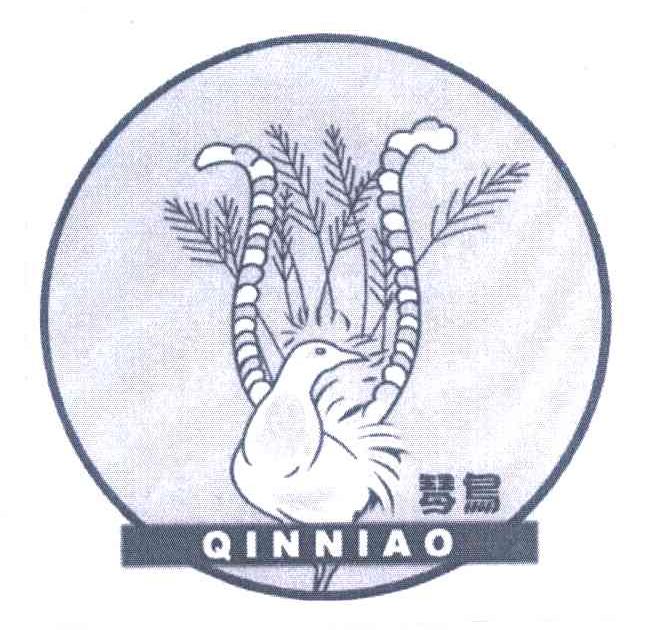 琴鸟