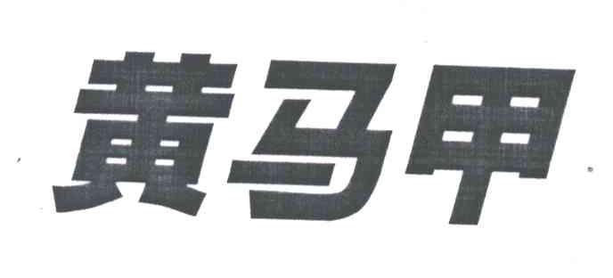 黄马甲