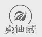 真迪威
