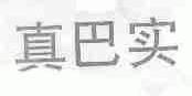 真巴实