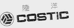 陆洋   COSTIC