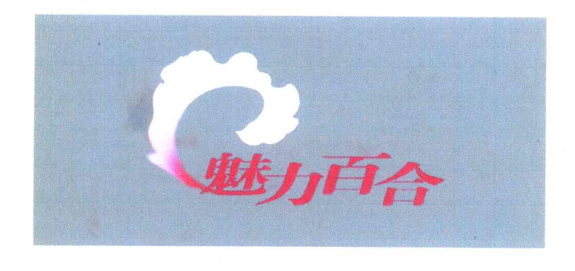 魅力百合