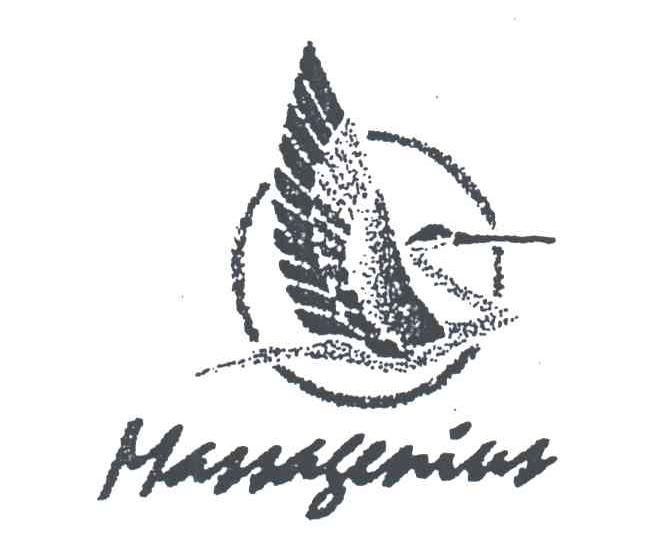 MASSAGENIUS