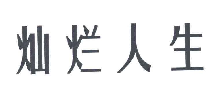 灿烂人生