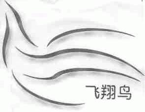 飞翔鸟