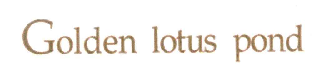 GOLDEN LOTUS POND