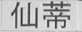 仙蒂