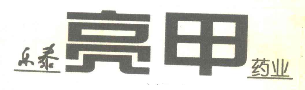 乐泰;乐泰药业;亮甲