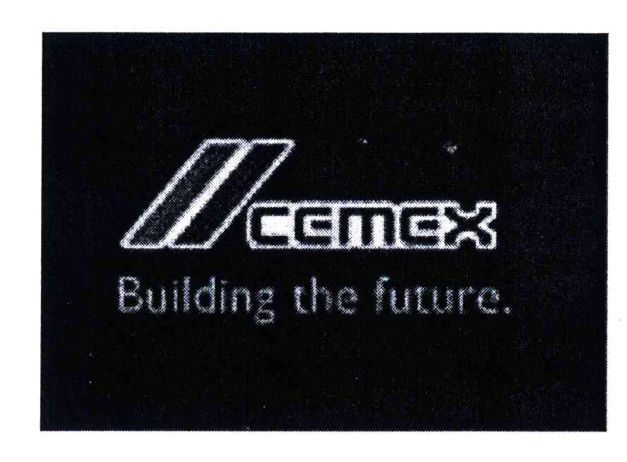 CEMEX  THE FUTURE