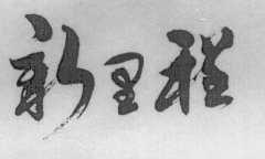新里程