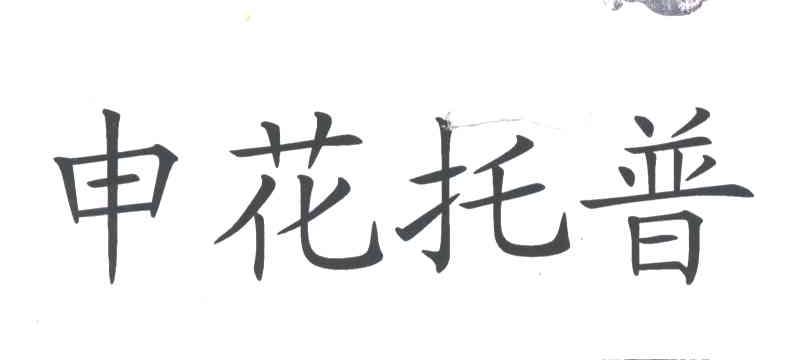 申花托普