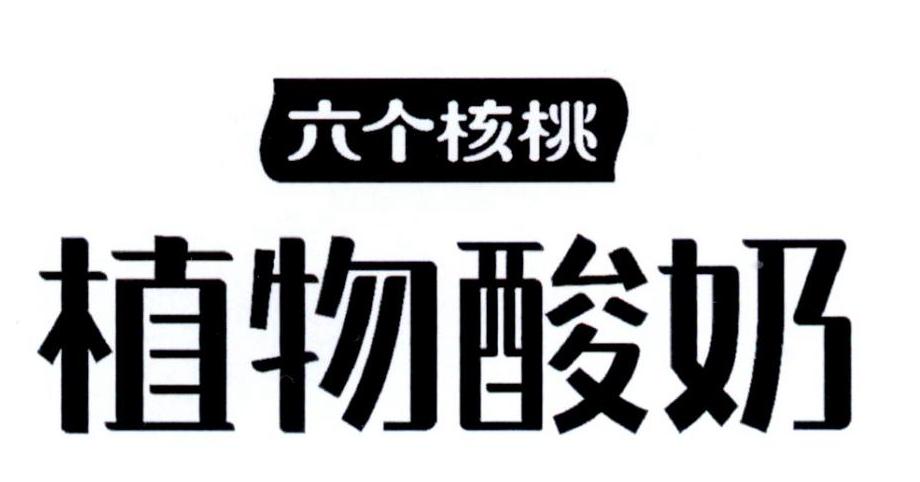 六个核桃 植物酸奶