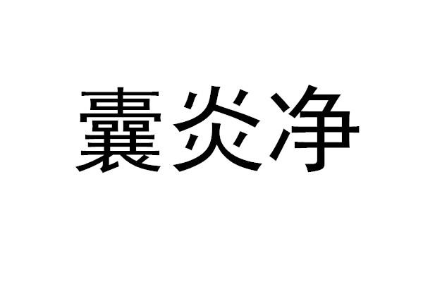 囊炎净