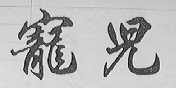 宠儿