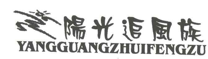 阳光追风族