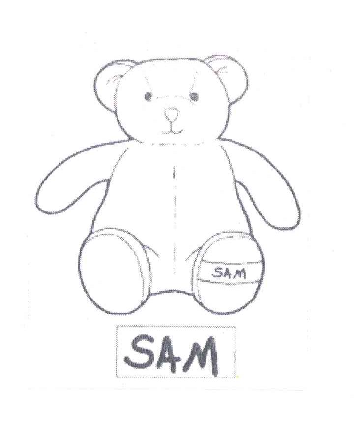 SAM