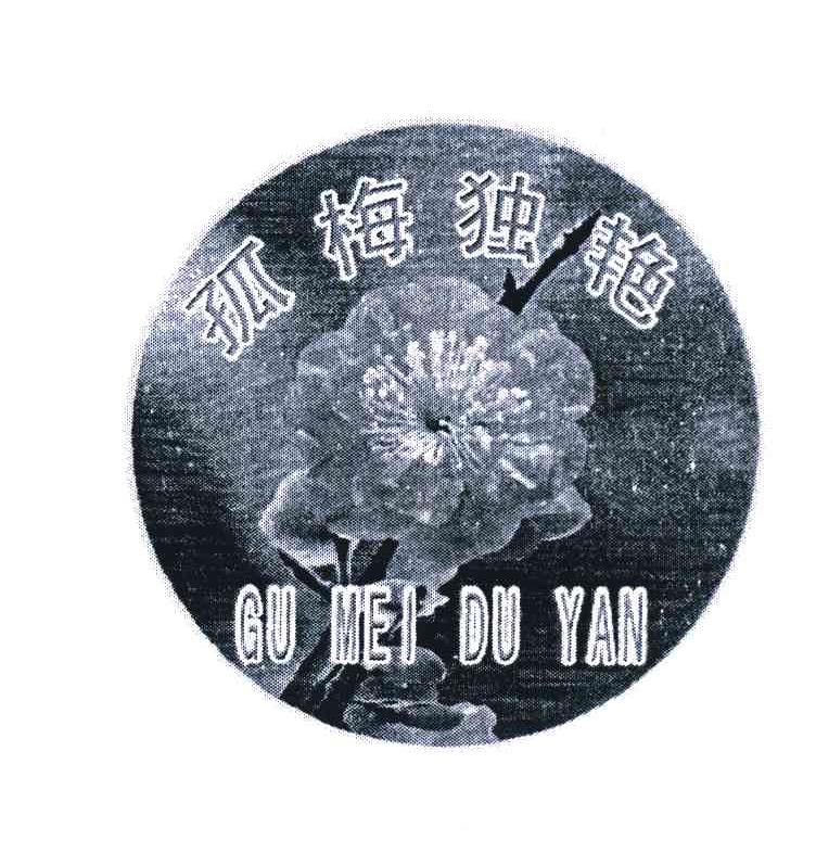 孤梅独艳