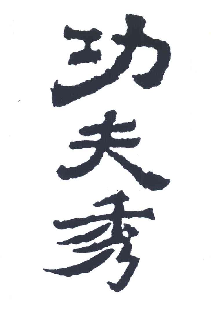 功夫秀
