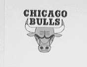 CHICAGO BULLS