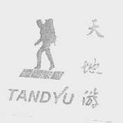 天地游   TANDYU