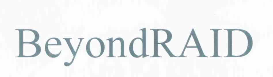 BEYONDRAID