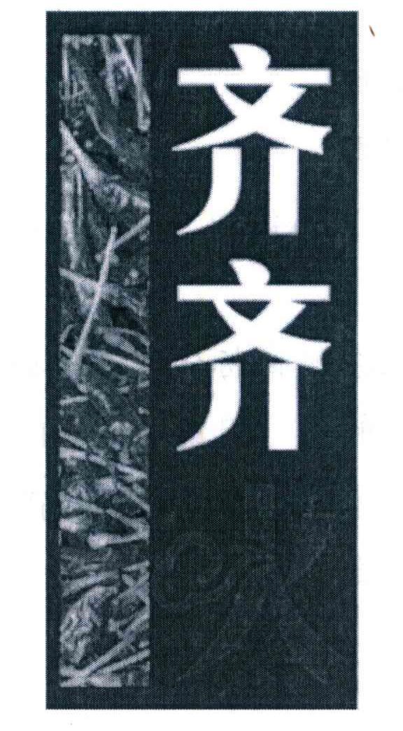 齐齐