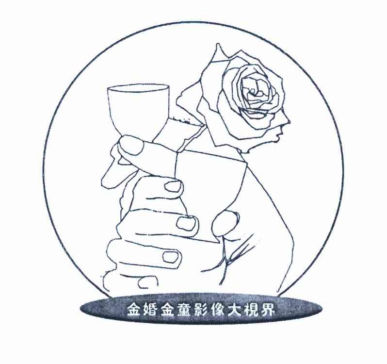 金婚金童影像大视界