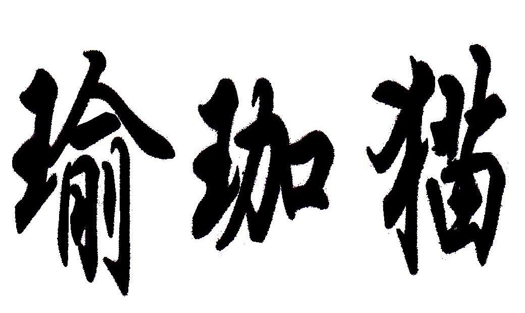 瑜珈猫