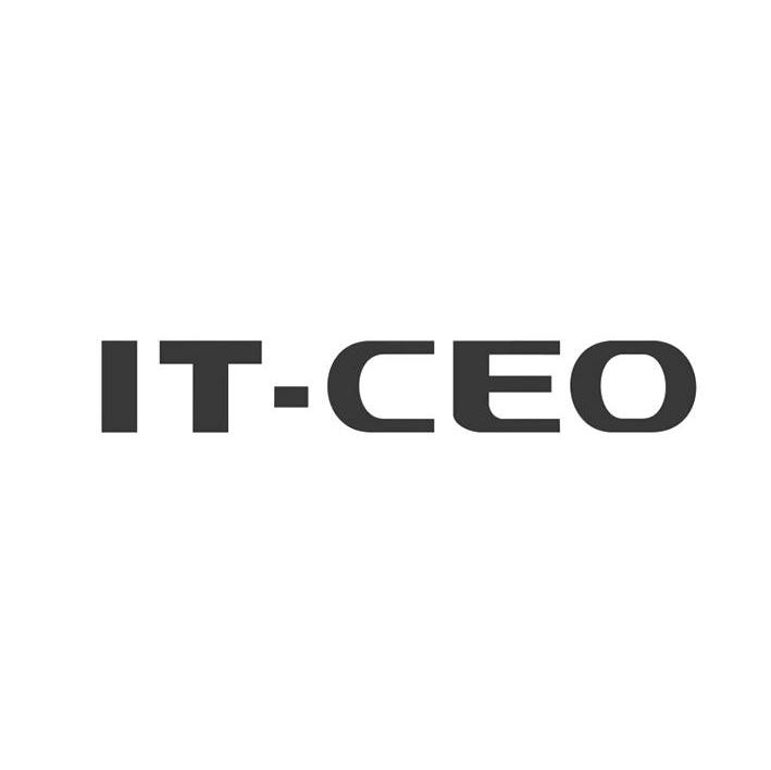 IT-CEO