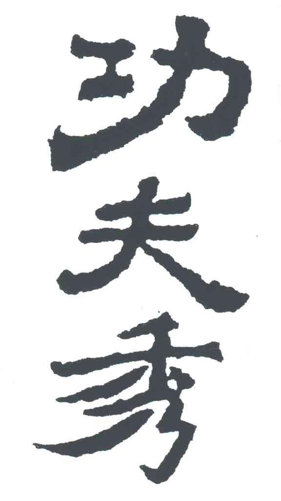 功夫秀;