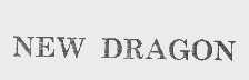 NEW DRAGON