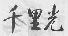 千里光