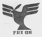 FEI GE