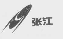 张江