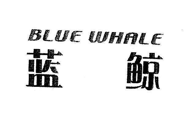 蓝鲸 BLUE WHALE