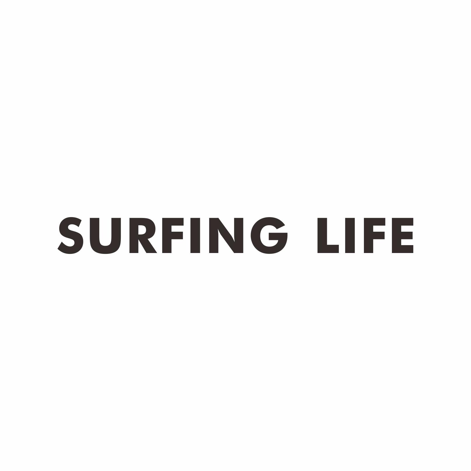 SURFING LIFE