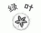 绿叶