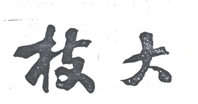 枝大