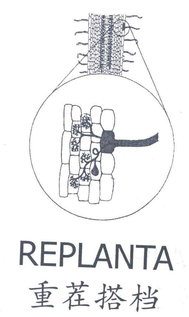 重茬搭档;REPLANTA