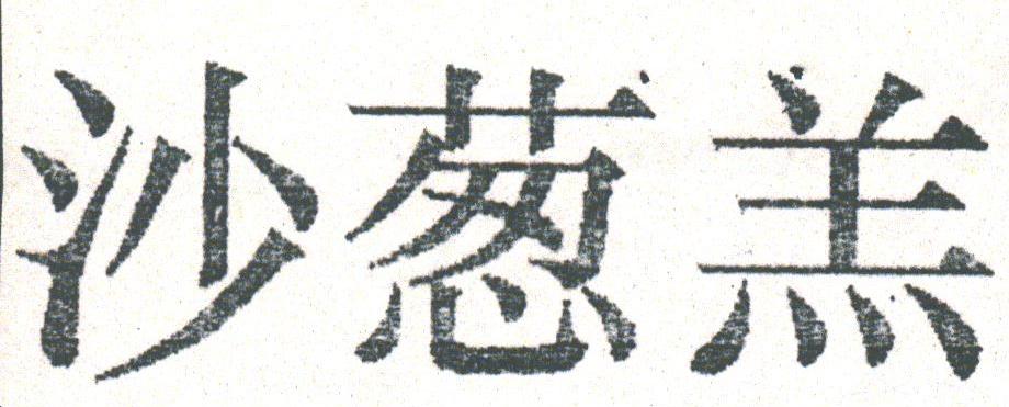 沙葱羔