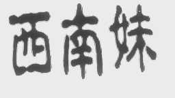 西南妹