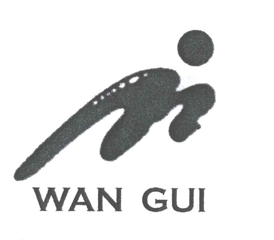 WAN GUI