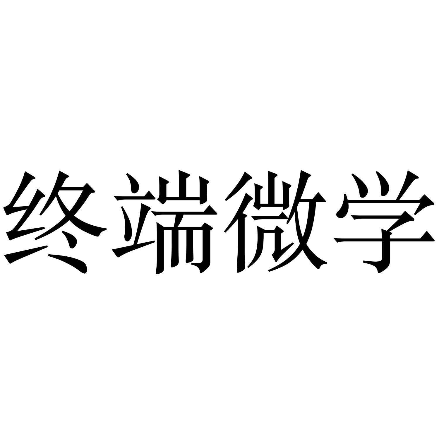 终端微学